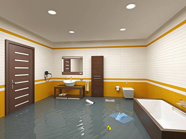 Best Residential Water Damage Restoration in USA